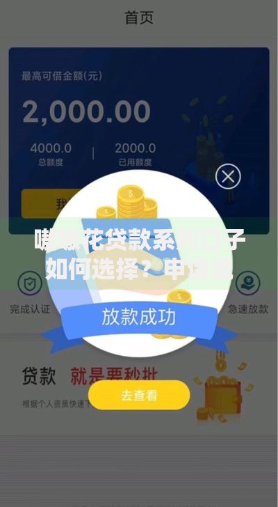 嗷嗷花贷款系列口子如何选择？申请流程、利率、额度全解析