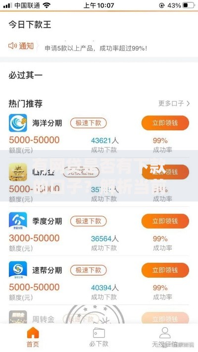 有网贷是否有下款的口子？解析当前可申请的网贷渠道