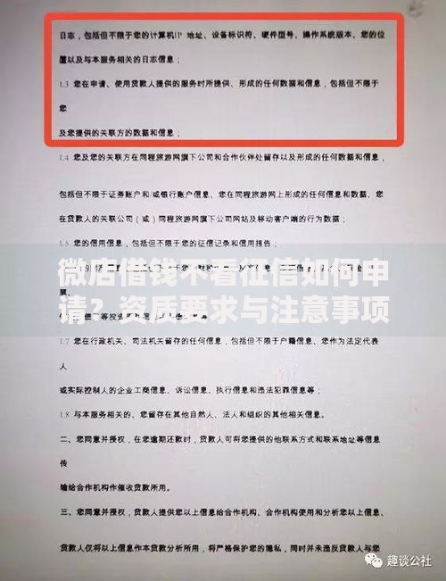 微店借钱不看征信如何申请？资质要求与注意事项解析