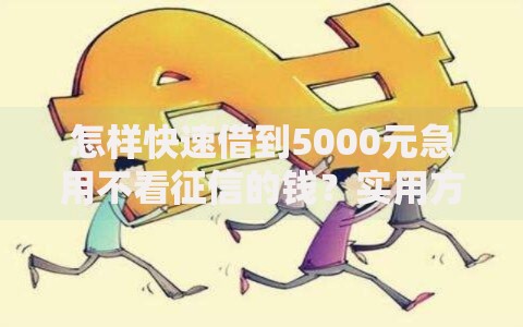 怎样快速借到5000元急用不看征信的钱？实用方法解析