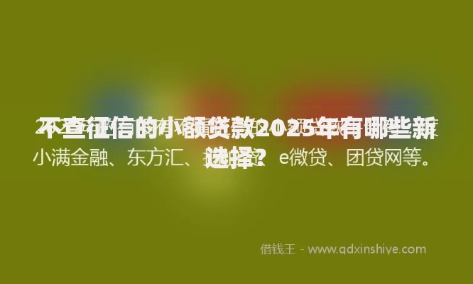 不查征信的小额贷款2025年有哪些新选择？