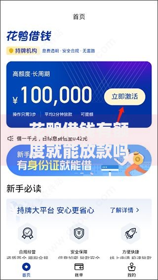 花鸭借钱有额度就能放款吗？深度解析放款逻辑与限制