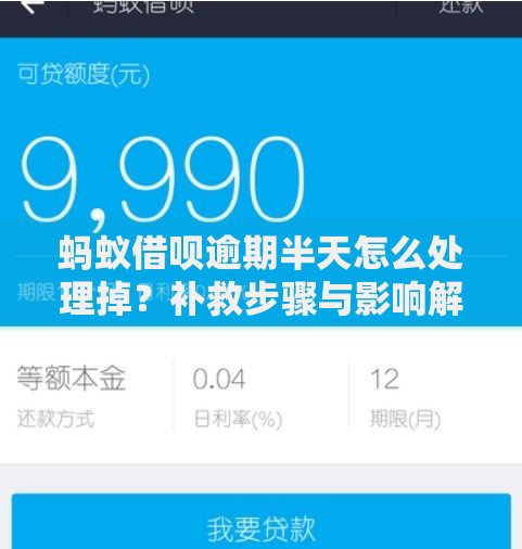 蚂蚁借呗逾期半天怎么处理掉？补救步骤与影响解析