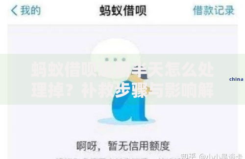 蚂蚁借呗逾期半天怎么处理掉？补救步骤与影响解析