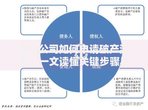 有限公司如何申请破产流程？一文读懂关键步骤与注意事项