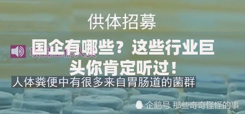 国企有哪些？这些行业巨头你肯定听过！