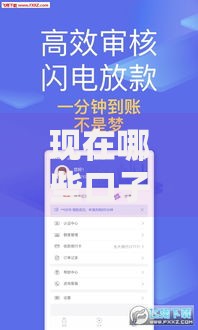 现在哪些口子可以下款？最新正规借贷渠道解析