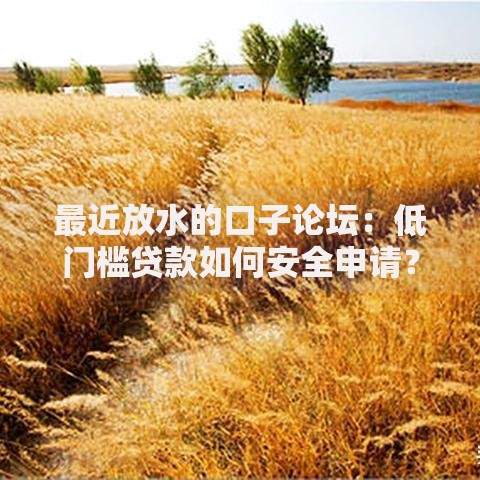 最近放水的口子论坛：低门槛贷款如何安全申请？