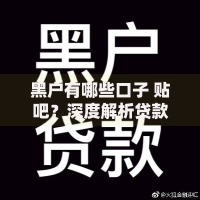 黑户有哪些口子 贴吧？深度解析贷款渠道与避坑指南