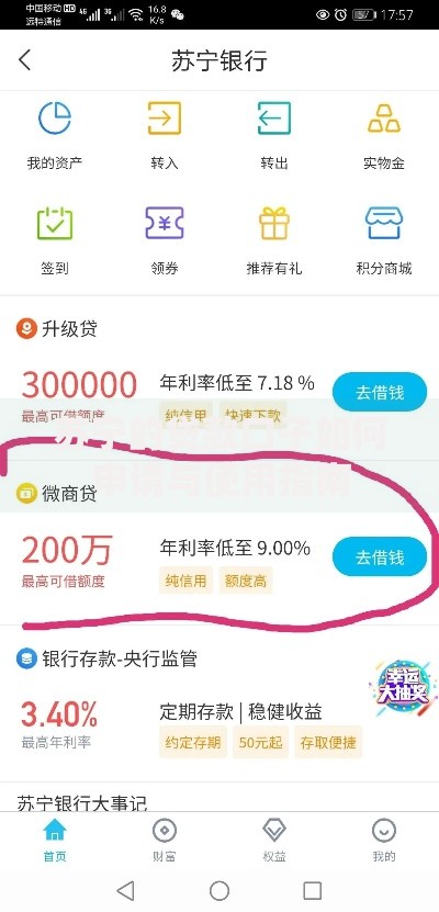 苏宁的贷款口子如何申请与使用指南