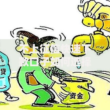 不上征信快速下款口子如何选择正规渠道