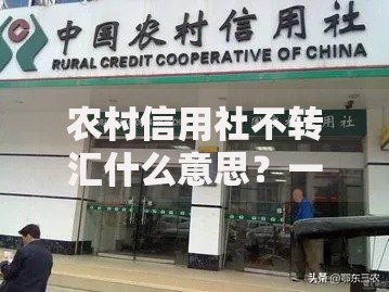 农村信用社不转汇什么意思？一文搞懂常见问题与应对方法