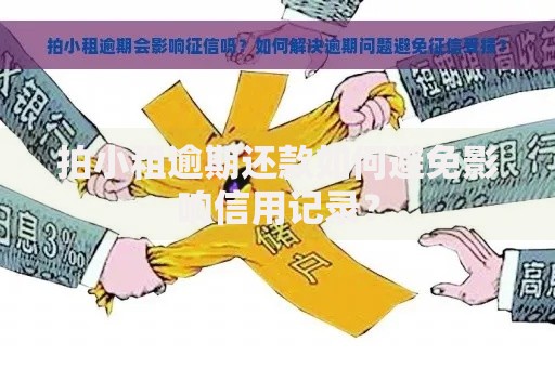 拍小租逾期还款如何避免影响信用记录？
