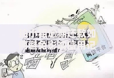 拍小租逾期还款如何避免影响信用记录？