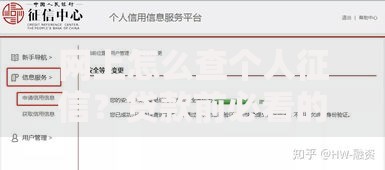 网上怎么查个人征信？贷款前必看的权威指南