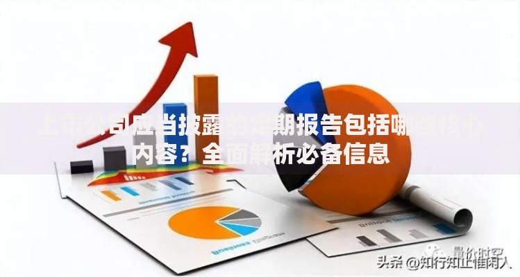 上市公司应当披露的定期报告包括哪些核心内容？全面解析必备信息