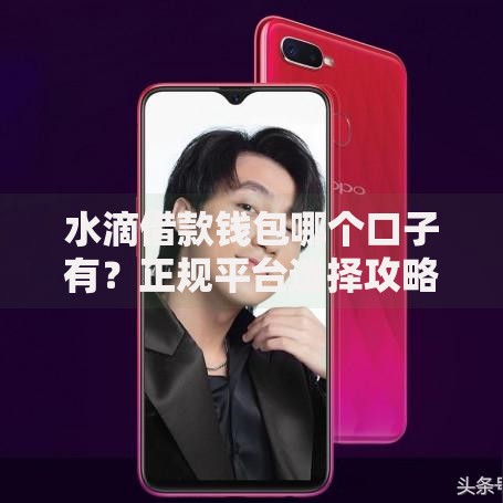 水滴借款钱包哪个口子有？正规平台选择攻略解析