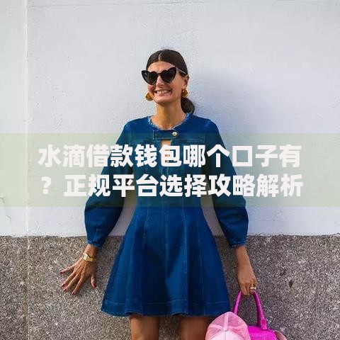 水滴借款钱包哪个口子有？正规平台选择攻略解析