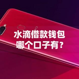水滴借款钱包哪个口子有？正规平台选择攻略解析