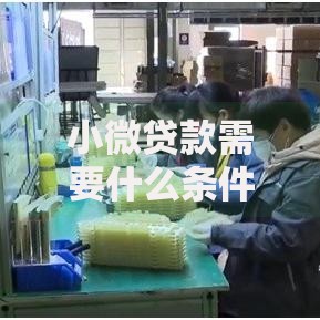 小微贷款需要什么条件？企业主必看申请指南
