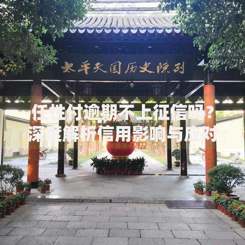 任性付逾期不上征信吗？深度解析信用影响与应对策略