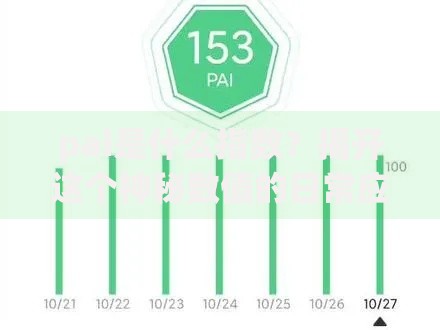 pai是什么指数？揭开这个神秘数值的日常应用密码