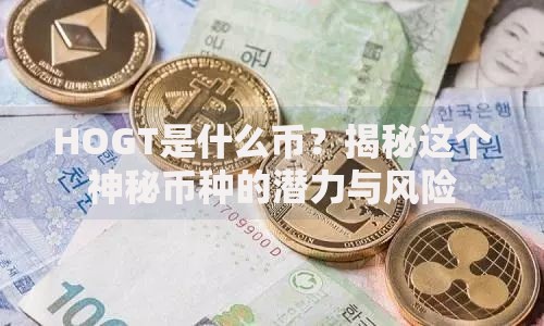 HOGT是什么币？揭秘这个神秘币种的潜力与风险