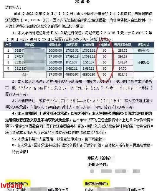 黑花口借款1万的口子有哪些？最新申请攻略解析
