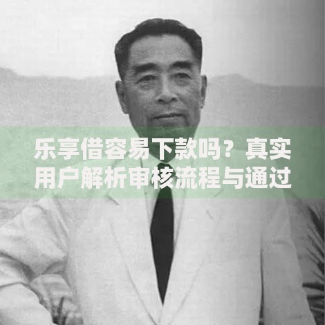 乐享借容易下款吗？真实用户解析审核流程与通过技巧