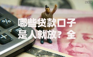 哪些贷款口子是人就放？全面解析低门槛贷款渠道