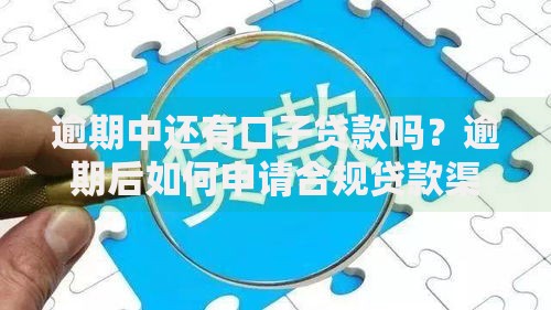 逾期中还有口子贷款吗？逾期后如何申请合规贷款渠道解析