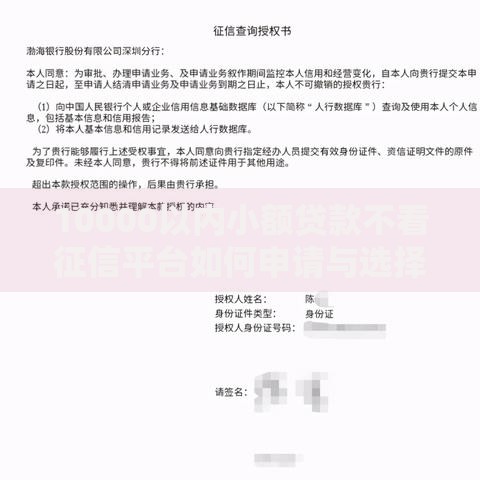 10000以内小额贷款不看征信平台如何申请与选择
