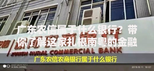 广东农信属于什么银行？带你了解这家扎根南粤的金融机构