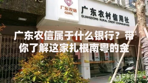 广东农信属于什么银行？带你了解这家扎根南粤的金融机构