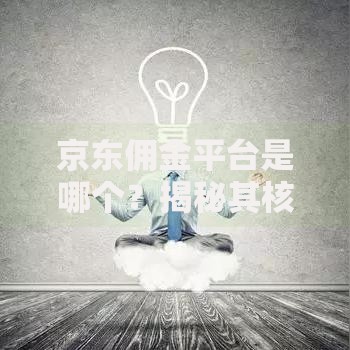 京东佣金平台是哪个？揭秘其核心功能与赚钱技巧