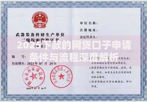 2025下款的网贷口子申请条件与流程深度解析