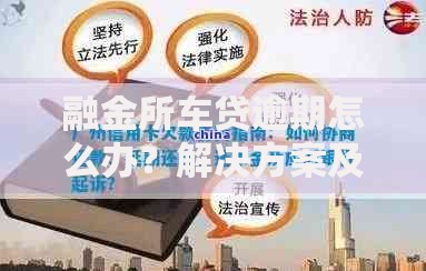 融金所车贷逾期怎么办？解决方案及应对措施详解