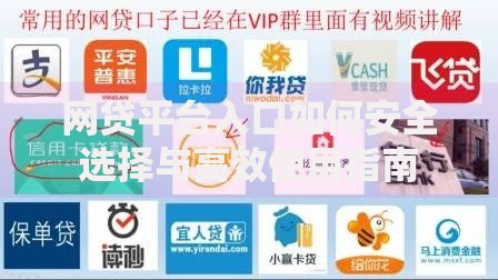 网贷平台入口如何安全选择与高效使用指南