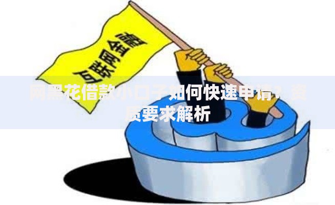 网黑花借款小口子如何快速申请？资质要求解析