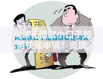 网黑花借款小口子如何快速申请？资质要求解析