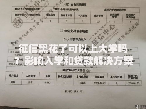 征信黑花了可以上大学吗？影响入学和贷款解决方案解析