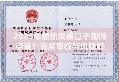 2025年最新双黑口子如何申请？资质审核与风险解析