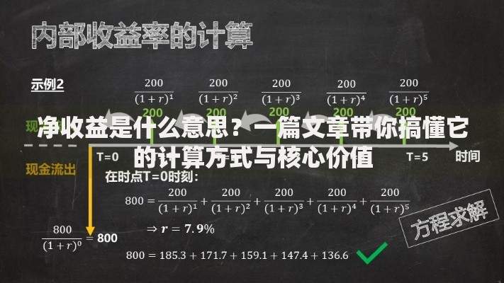 净收益是什么意思？一篇文章带你搞懂它的计算方式与核心价值