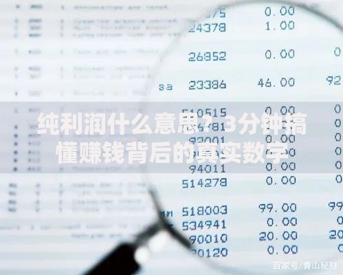 纯利润什么意思？3分钟搞懂赚钱背后的真实数字