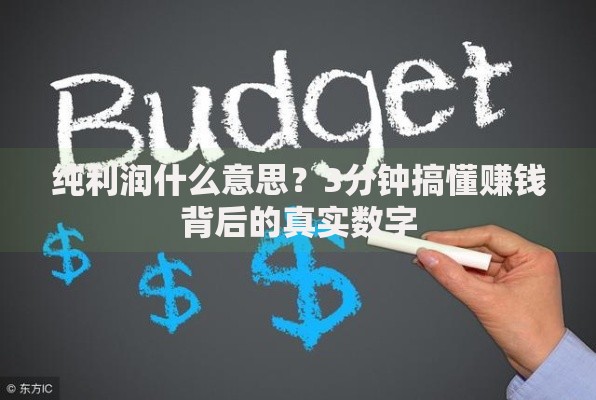 纯利润什么意思？3分钟搞懂赚钱背后的真实数字