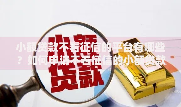 小额贷款不看征信的平台有哪些？如何申请不看征信的小额贷款？