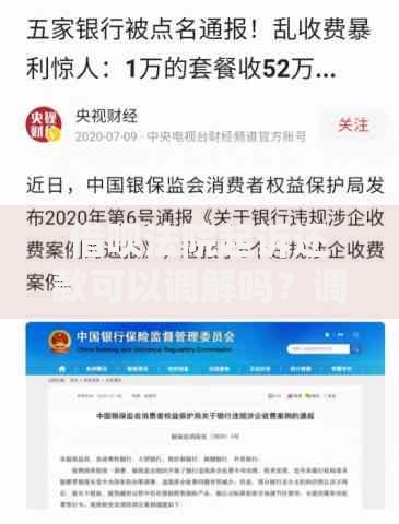 借呗法院起诉还款可以调解吗？调解流程与应对策略解析