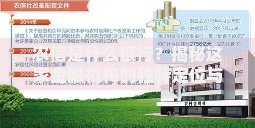 农信是什么银行？揭秘这家金融机构的独特定位与服务优势