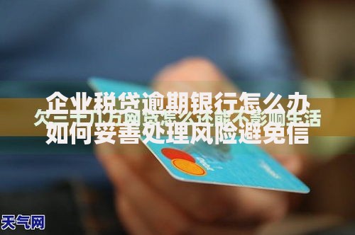企业税贷逾期银行怎么办如何妥善处理风险避免信用受损