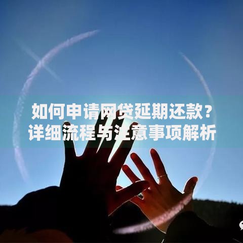如何申请网贷延期还款？详细流程与注意事项解析
